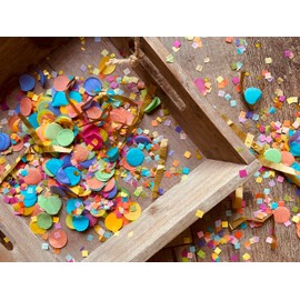 InsideMyNest Colourful Multicoloured Confetti Biodegradable Throwing Confetti Wedding Party Decorations Baby Shower (75g/2.5oz/1 litre)