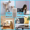 Small Portable Air Purifier for Home/Office/Kitchen/Car/Pet Bedroom, Mini Portable HEPA