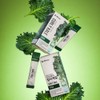 Delvemi Daily Organic Freeze-Dried Curly Kale Stick 2g 14 Sachets