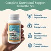 Maine Coast Sea Vegetables Seaweed Support Iodine Formula | Source