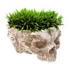 Innovative Resin Skull shaped Flower Pot Succulent Planter Holder Ornament