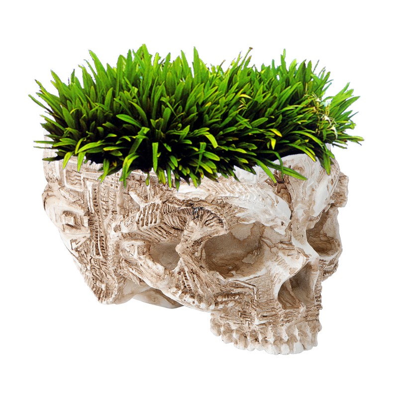 Innovative Resin Skull shaped Flower Pot Succulent Planter Holder Ornament