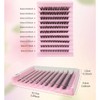 Elantoexis D04 DIY Cluster Lashes Volume Natural Segmented Eyelashes Bundles