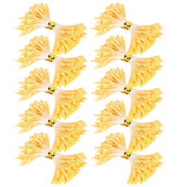 900Pcs Flower Stamen Pearl Stamen Pistil Artificial Bouquet Double End Mini Artificial Flower Stamen Making DIY Stamen Flower(3mm)