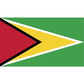 JMM Industries Guyana Flag Vinyl Decal Sticker Guyanese Car Window Bumper 2-Pack 5-Inches by 3-Inches Premium Quality UV-Resistant Laminate PDS441