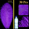 30 Pcs Large Natural Ostrich Feathers Bulk 16-18 Inch for