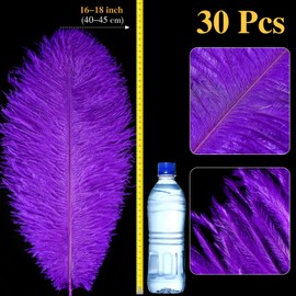30 Pcs Large Natural Ostrich Feathers Bulk 16-18 Inch for Centerpieces for Wedding Party Centerpieces Home Decoration Flower Arrangement (Purple)