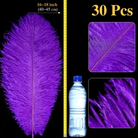 30 Pcs Large Natural Ostrich Feathers Bulk 16-18 Inch for Centerpieces for Wedding Party Centerpieces Home Decoration Flower Arrangement (Purple)
