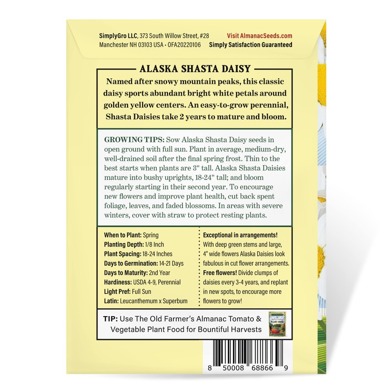 The Old Farmer's Almanac Daisy Seeds (Shasta Alaska) - Approx