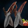 Feather Damascus Blade with Leather Sheath Vegetable Cutter Stainless Steel