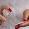 ON OUTLET NAILS Lohmann & Rauscher 1000 Cellulose Pads -