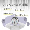 Kyogoku Kyogoku Silver Color Foam Conditioner