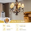 DiCUNO E14 to E12 Adapter, European to Candelabra Base Light