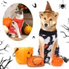 Xuniea 4-Piece Halloween Cat Surgery Recovery Suit - Wound Surgical