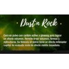 Lendan Dust´n Rock Cera En Polvo Rellenador Capilar 10g