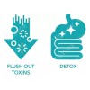 De Desintoxicación Avanzada 15day Cleanse Cápsulas