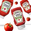 Heinz Organic Tomato Ketchup (14 oz Bottles, Pack of 6)