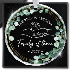 New Parents Gifts for Couples The Year We Became Family of Three 2026 Gifts for Expecting Parents Pregnant Expecting Baby Glass Ornament 2026 First Time Parents Ornament Baby Announcement Gift
