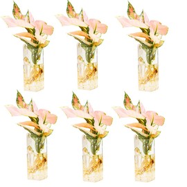 Fashionstorm 6 Pack Hanging Glass Terrariums Wall Hanging Planters Plant Terrarium Wall Vases Glass Plant Holders Plant Propagation Station