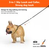 BeauGo Slip Leads for Dogs,Top Speed Training Dog Leash,2-in-1 Slip