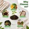 300 Pcs Disposable Cutlery Set, Heavy-Duty Compostable Utensils