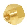 Joywayus 3/4"GHT Female x 1/4"NPT Female Brass Pipe Fittings Hex