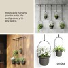 Umbra Triflora Hanging Planter for Window, Indoor Herb Garden, Set
