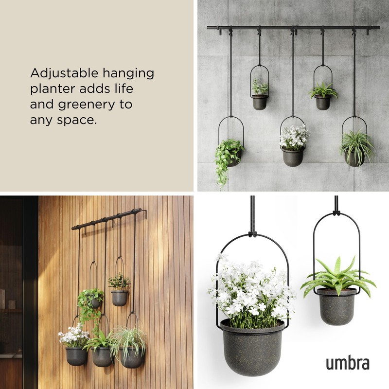 Umbra Triflora Hanging Planter for Window, Indoor Herb Garden, Set