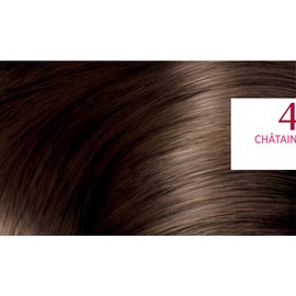 L'Oréal Paris Excellence Hair Colour Chestnut Brown Triple Care