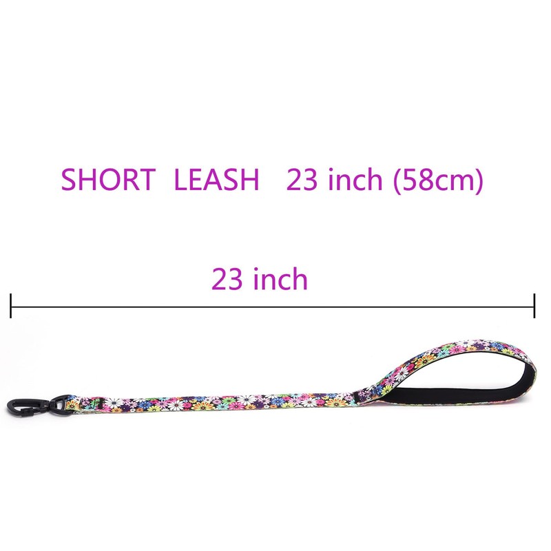 Bbmmayy Martingale Collar, Training Dog Collar, Stainless Steel Chain Pet