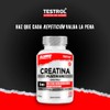 Testrol Creatina Platinum HMB y Beta Alanina Suplemento para Apoyo