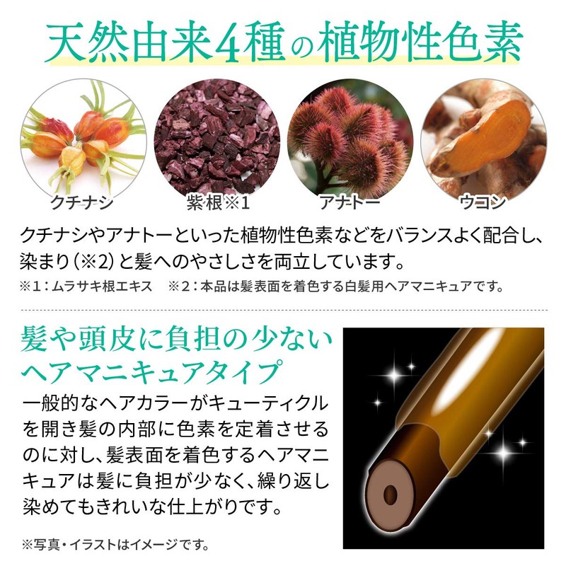 Sastty Rishiri Color Cream (Dark Brown) Mother's Day Gift