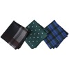 imaa Smachi Non-Iron Handkerchief, Men's, Gift, Made in Japan, Approx.