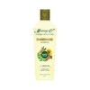 Moringa-O2 Herbal Hairfall Rescue Shampoo - Damage Repair 200mL