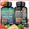 Sea Moss & Shilajit (Black Seed Oil, Turmeric, Ashwagandha, Ginger,