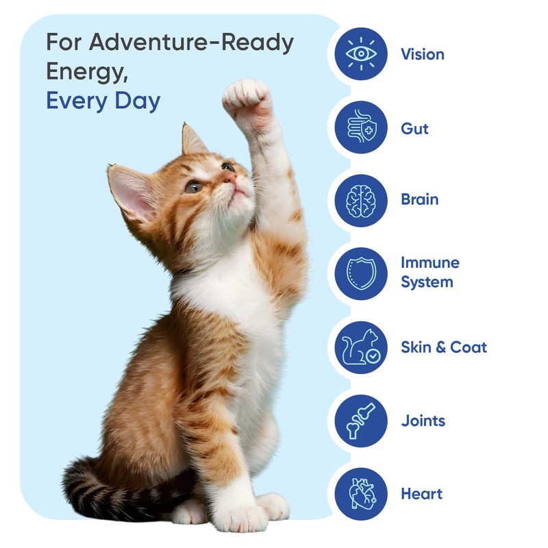 Multivitamins and Minerals for Cats - 365 Chicken-Flavoured Tablets -