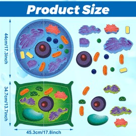 VercanMonth 2 Set Giant Felt Animal and Plant Cell Anatomy Model Kits Early Biology Cell Model Life Science Toys Animal Plant Bacteria Science Kit for Boys Girls Classroom Educational Learning