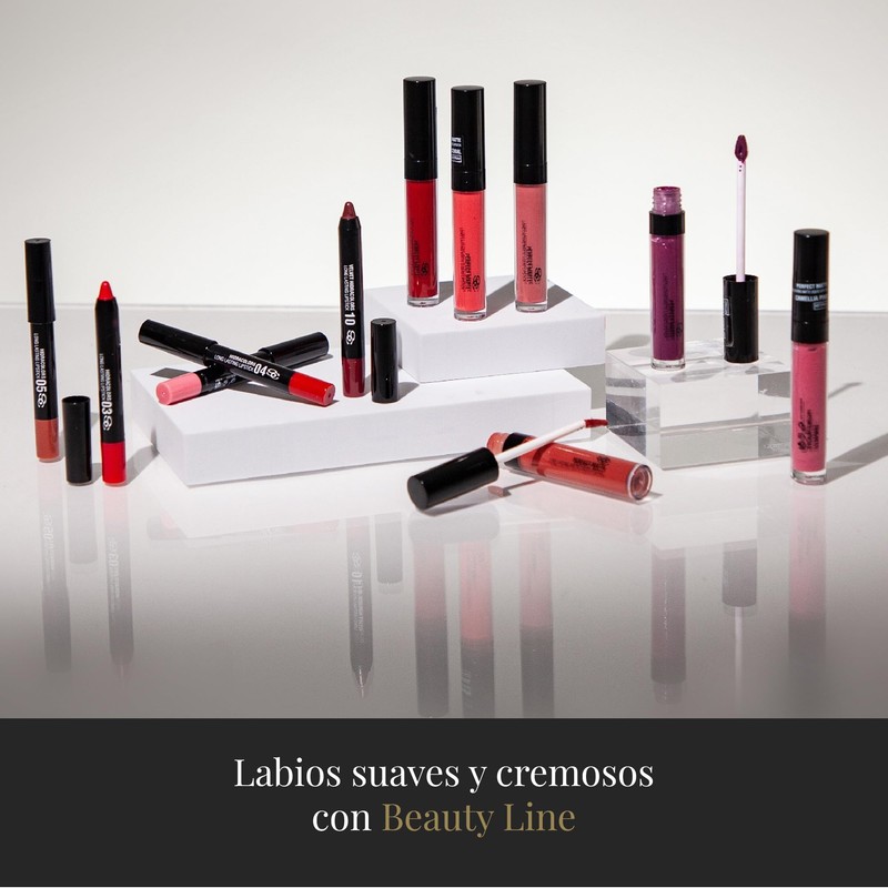 SALERM Perfect Matte Permanent Lipstick - Flame Red Liquid Matte