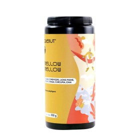 QUENUT | Mezcla A Base De Hongos Y Especias Con Extractos De Reishi, Chaga, Melena De León Y Cordiceps. Apoya Al Sistema Inmune, La Resistencia Atlética Y Mejora El Descanso. Mellow Mellow All Natural Adaptogen Blend Sabor Cacao/Chai En Presentación De 3