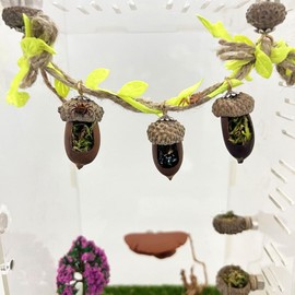 Daerky Jumping Spider Hide,Magnetic Climbing Rope Bridge for Jumping Spiders, Handmade Real Acorn Hideaway Cave, Spider Jumping Platform, Decorative Accessory for Small Reptile Enclosures (Style 1)