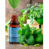 ASAKUKI Top3 Blends Essential Oils Cozy Set Theraputic Grade Aromatherapy