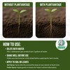 PlantVantage Concentrated Plant Fertilizer Bundle – Liquid Plant Food for
