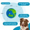 Outward Hound by Planet Dog Orbee-Tuff Planet Ball Blue/Green Treat-Dispensing