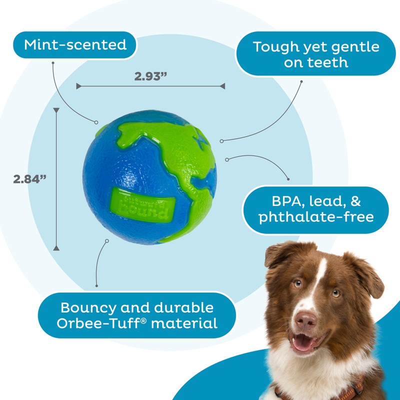 Outward Hound by Planet Dog Orbee-Tuff Planet Ball Blue/Green Treat-Dispensing