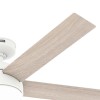 Hunter Fan 52 inch Casual White Indoor/Outdoor Ceiling Fan with