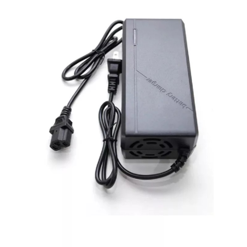 coming data ac power supply fast 3A battery Charger For
