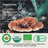 CheezhengHimalaya Reishi Mushroom, Organic Daily Supplements, Immune Support and Longevity