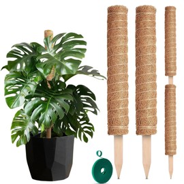 2 Pack Moss Pole Monstera Plant Support 20 inch - Plant Pole 2 Pack 12 inch with 67 inch Garden Twist Ties - Moss Poles for Climbing Plants Monstera Coconut Fiber for Plants Stakes Moss Coco Pole