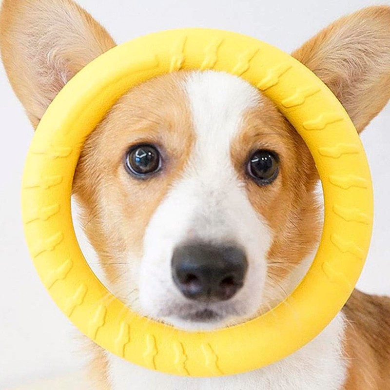 Moonlove Dog Toy Fitness Floating Water Ring Dog Training Bite