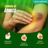 Anáhuac Pomada Árnica, Alcanfor y Guayacol, Alivio Rápido a Golpes